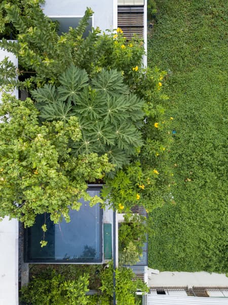 Sky House 